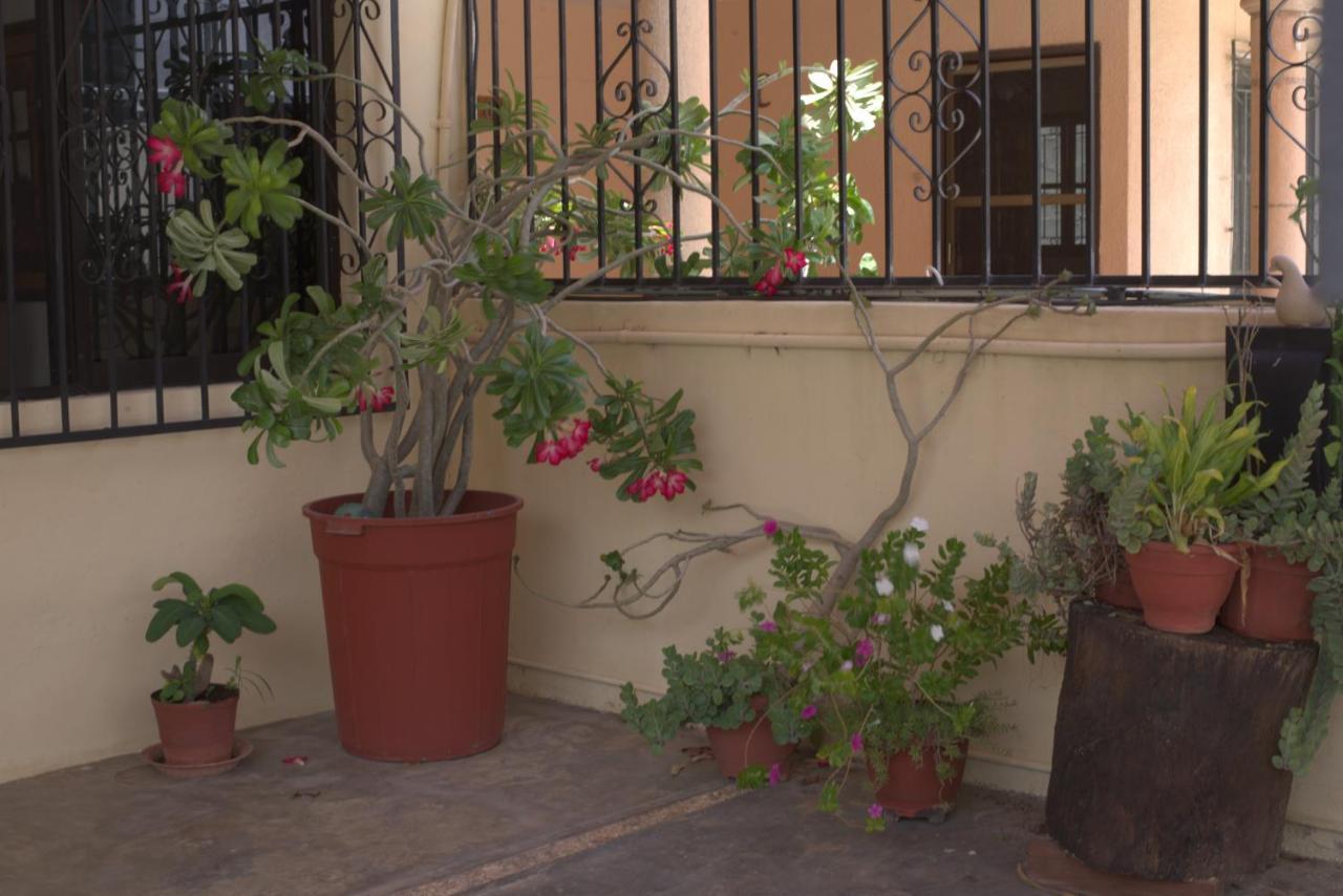 La Casa Del Chac Villa Merida Ngoại thất bức ảnh