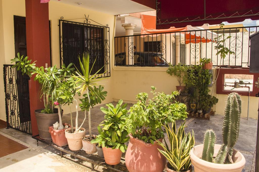 La Casa Del Chac Villa Merida Ngoại thất bức ảnh