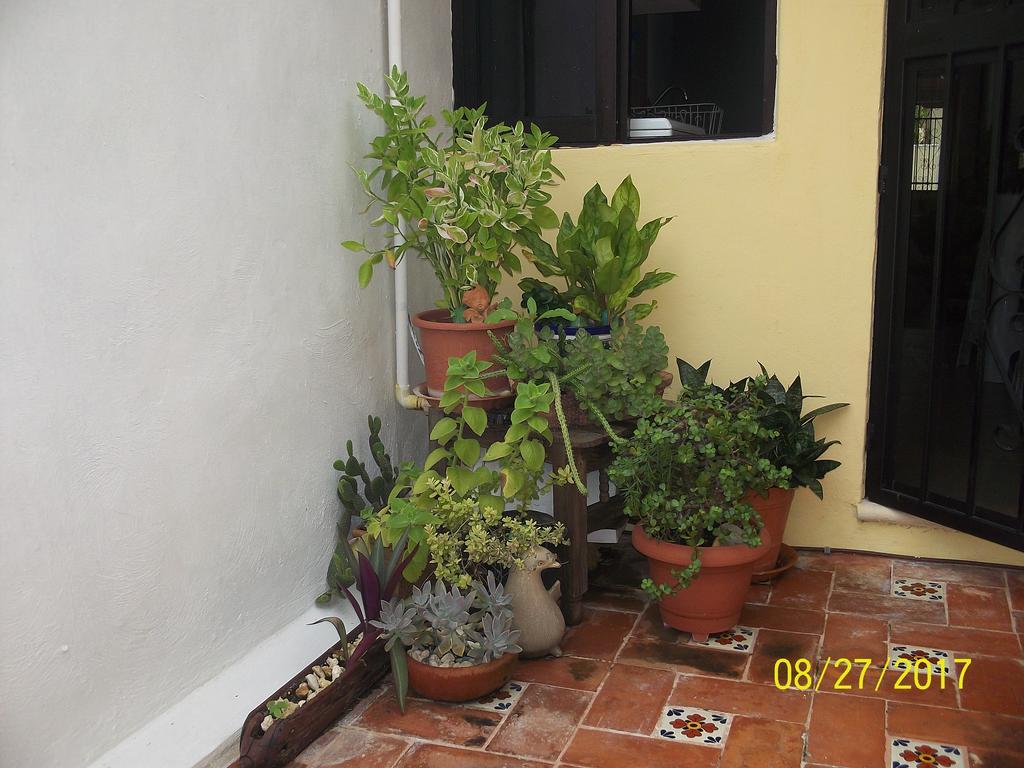 La Casa Del Chac Villa Merida Ngoại thất bức ảnh