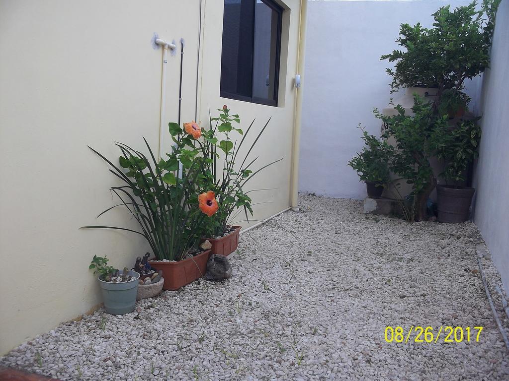 La Casa Del Chac Villa Merida Ngoại thất bức ảnh